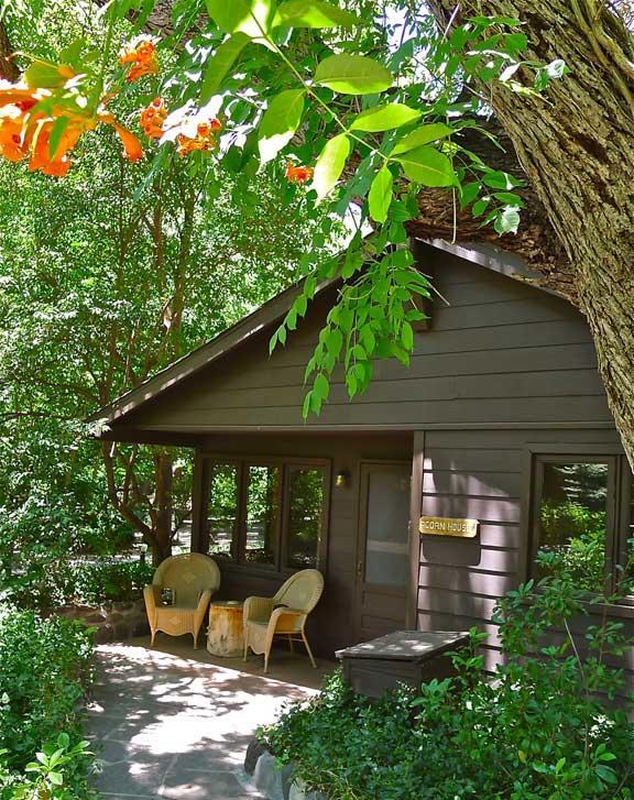 سيدونا Briar Patch Inn المظهر الخارجي الصورة